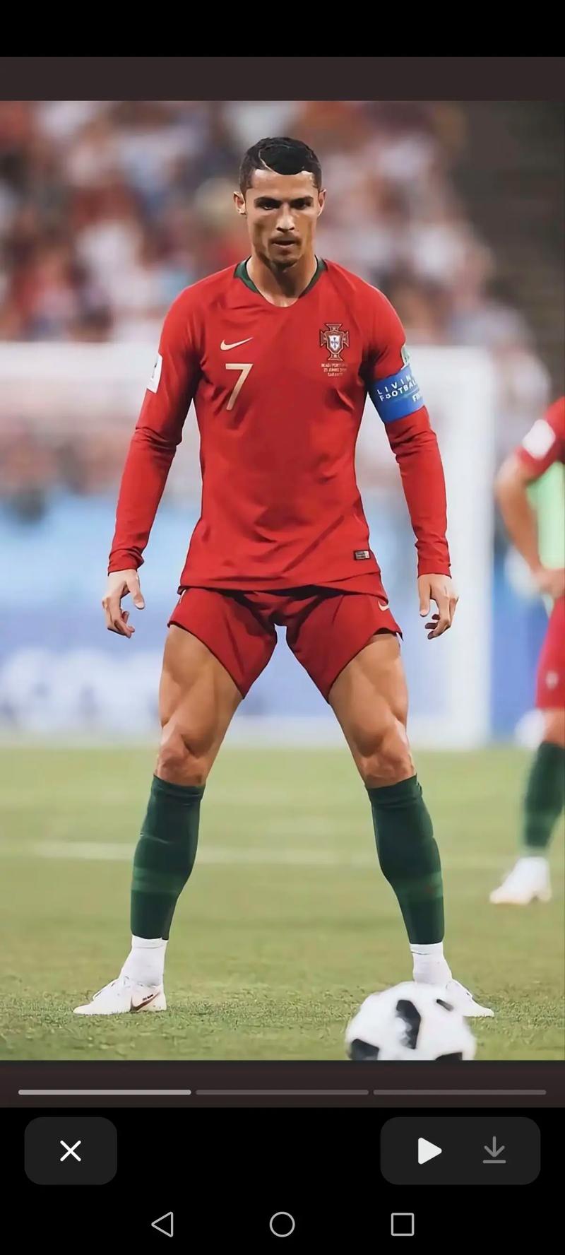大谷翔平初